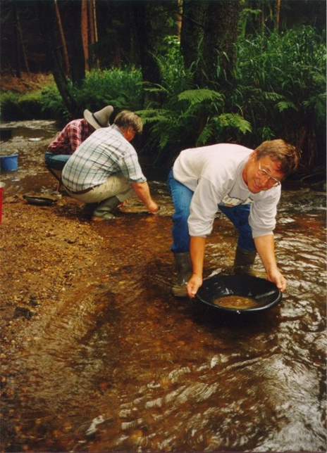 Goldwasch wein klein