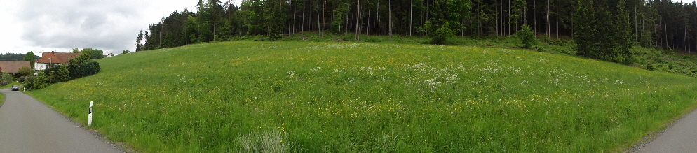 Rautenkrantz-Zeche-pano-89