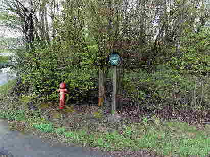 12-Parken-Silberr-2