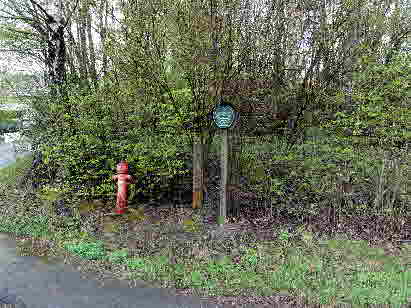 12-Parken-Silberr-2