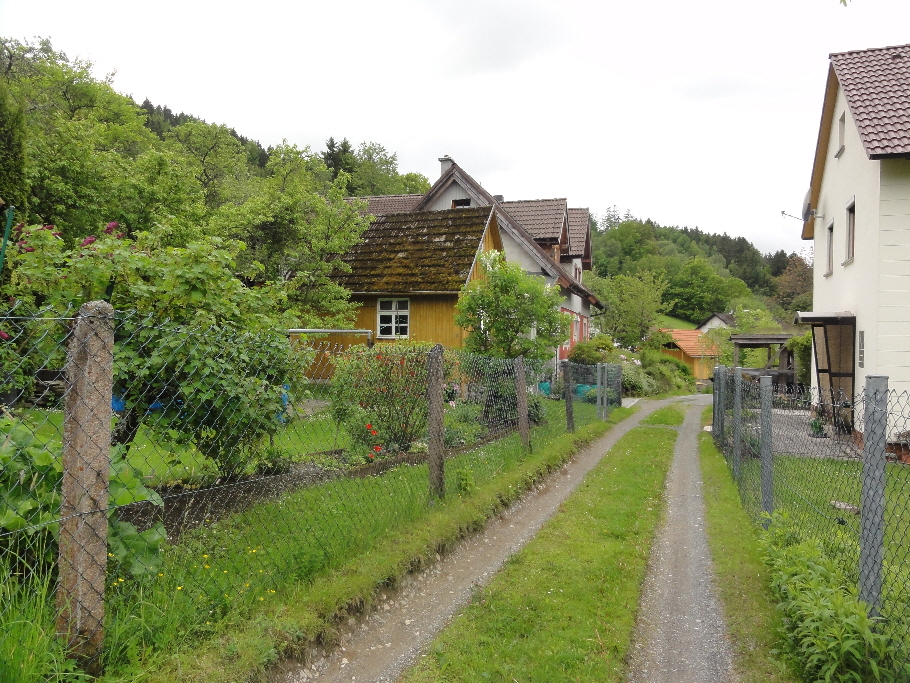 DSC08035 - Kopie