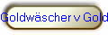 Goldwscher v Goldkronach